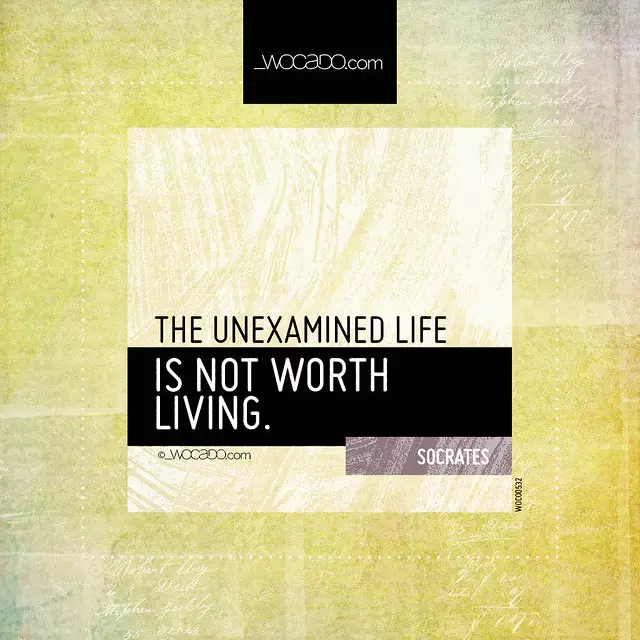 The unexamined life by WOCADO.com
