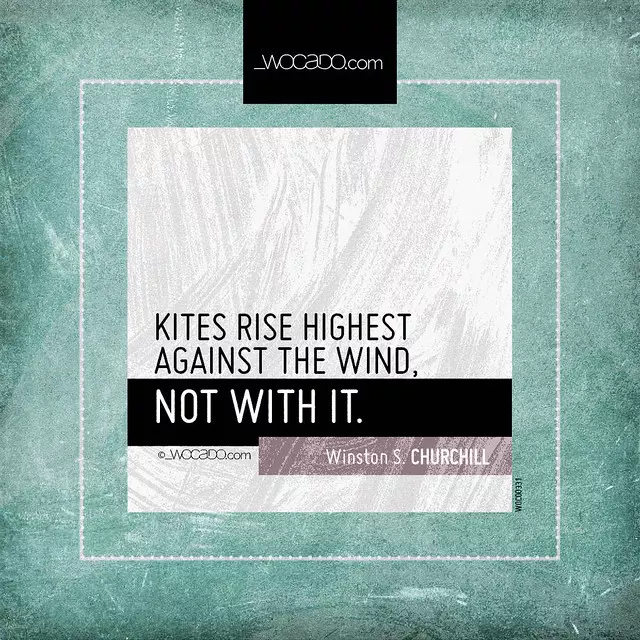 Kites rise highest against the wind by WOCADO.com