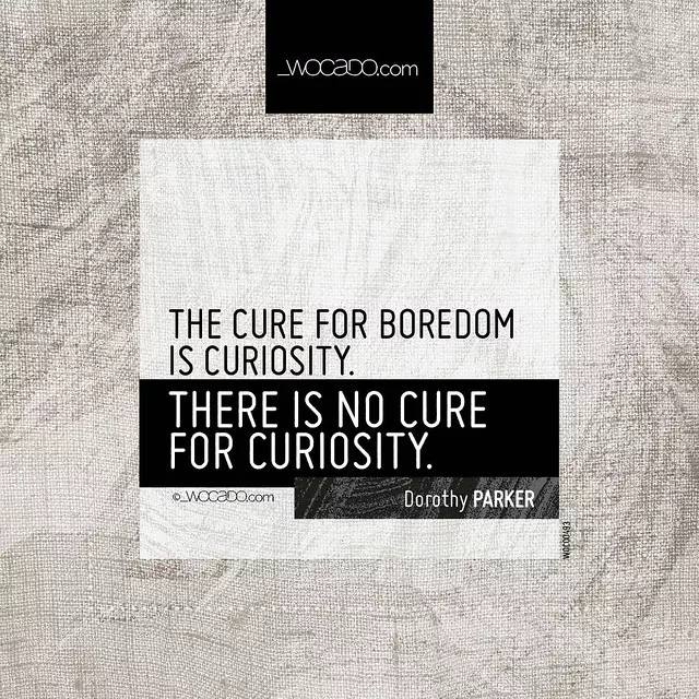 The cure for boredom is curiosity by WOCADO.com