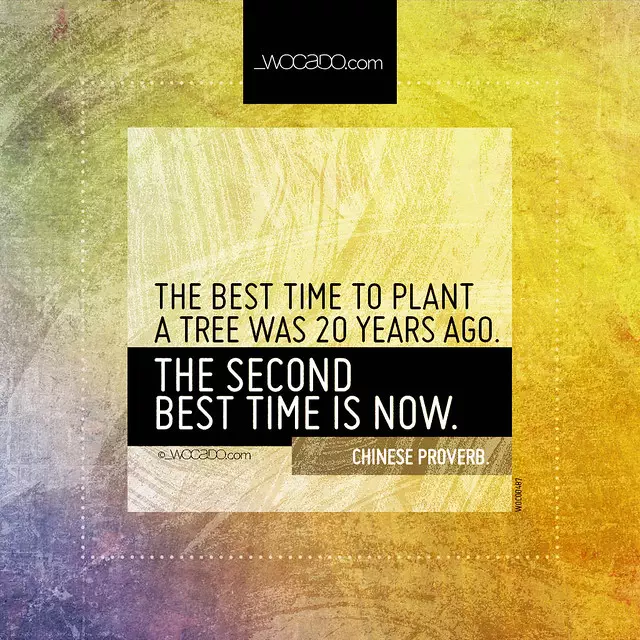 The best time to plant a tree by WOCADO.com