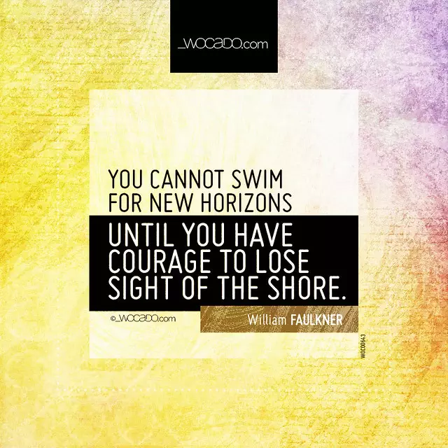 You cannot swim for new horizons by WOCADO.com