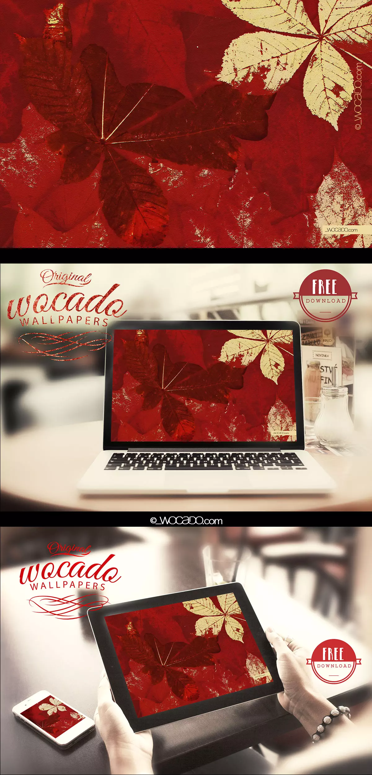 red autumn leaves wallpaper by wocado - FREE download