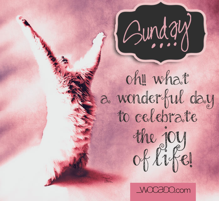 Sunday! Oh what a wonderful day…
