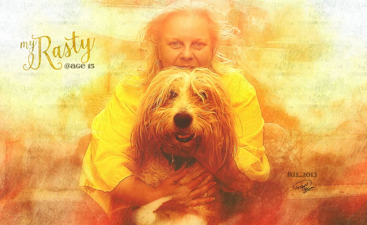 His name is Rasty and he is my Dog His name is Rasty and he is my Dog