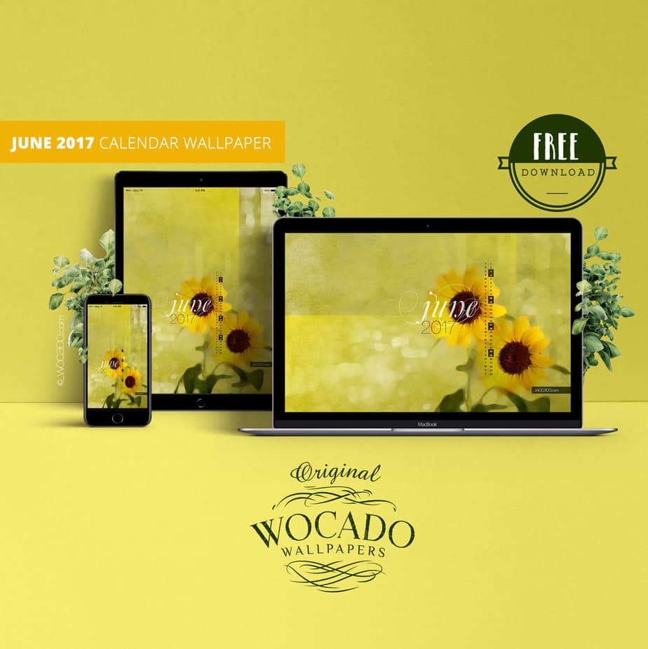 June 2017 Calendar Wallpaper – Summer Vibes – FREE Download